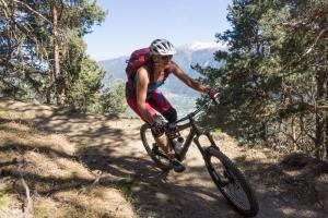 Vinschgau 2017 013