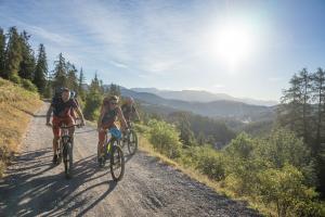 TRANSPROVENCE2020_001