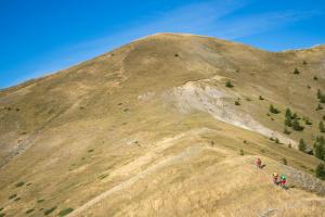 TRANSPROVENCE2020_008