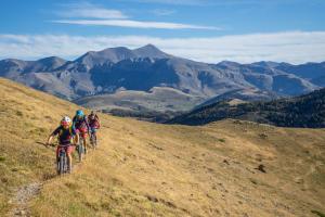 TRANSPROVENCE2020_009