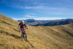 TRANSPROVENCE2020_010