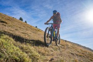 TRANSPROVENCE2020_015
