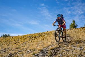 TRANSPROVENCE2020_018
