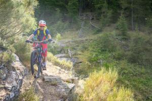 TRANSPROVENCE2020_023