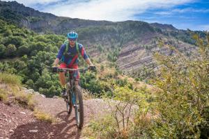 TRANSPROVENCE2020_030