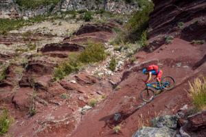 TRANSPROVENCE2020_033