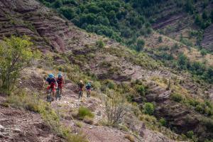 TRANSPROVENCE2020_034