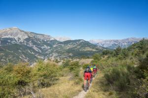 TRANSPROVENCE2020_037