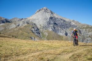 TRANSPROVENCE2020_050