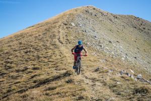 TRANSPROVENCE2020_054