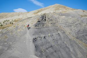 TRANSPROVENCE2020_056