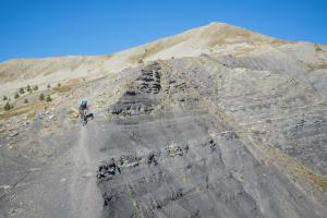 TRANSPROVENCE2020_058