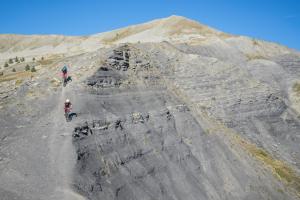 TRANSPROVENCE2020_059