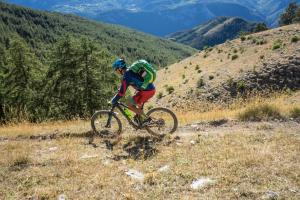 TRANSPROVENCE2020_060