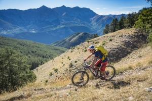 TRANSPROVENCE2020_061