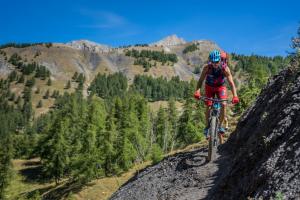 TRANSPROVENCE2020_076