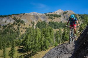 TRANSPROVENCE2020_077
