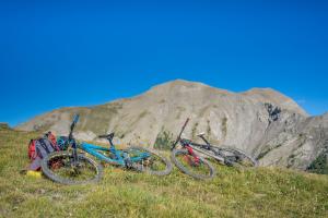 TRANSPROVENCE2020_081