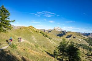 TRANSPROVENCE2020_099