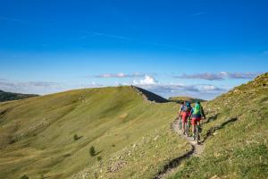 TRANSPROVENCE2020_104
