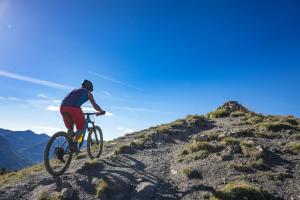 TRANSPROVENCE2020_109