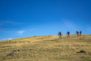 TRANSPROVENCE2020_110