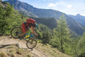 TRANSPROVENCE2020_115