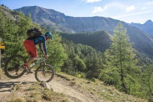 TRANSPROVENCE2020_116