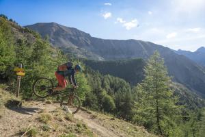 TRANSPROVENCE2020_117