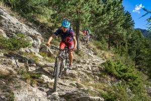 TRANSPROVENCE2020_118