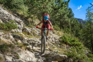 TRANSPROVENCE2020_119