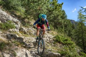 TRANSPROVENCE2020_120