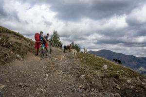TRANSPROVENCE2020_123