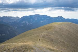 TRANSPROVENCE2020_125