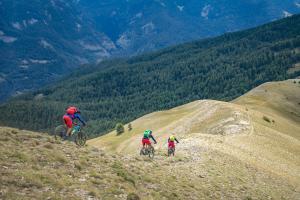 TRANSPROVENCE2020_131