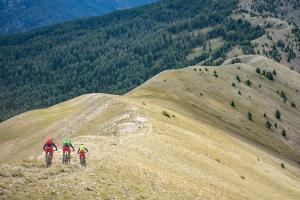 TRANSPROVENCE2020_132