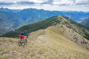 TRANSPROVENCE2020_136
