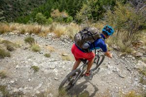 TRANSPROVENCE2020_140