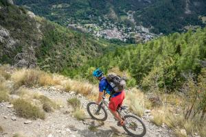 TRANSPROVENCE2020_142