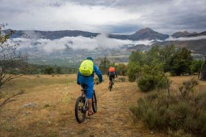 TRANSPROVENCE2020_146