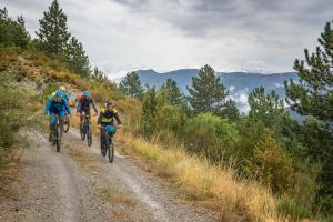 TRANSPROVENCE2020_148