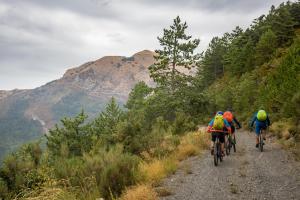 TRANSPROVENCE2020_149