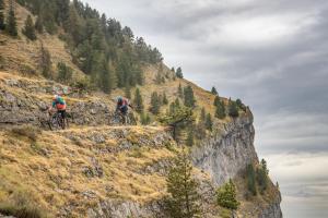 TRANSPROVENCE2020_154