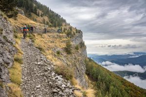 TRANSPROVENCE2020_155