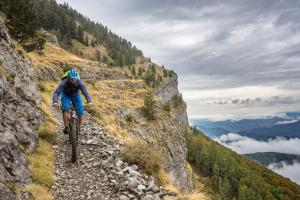 TRANSPROVENCE2020_156