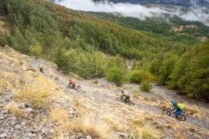 TRANSPROVENCE2020_158