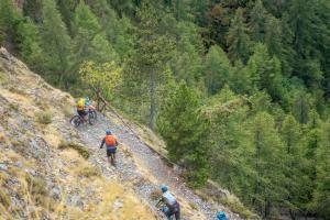 TRANSPROVENCE2020_159
