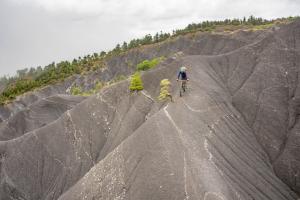 TRANSPROVENCE2020_166