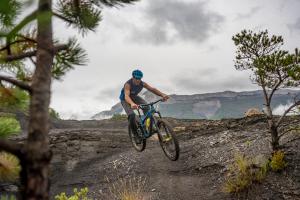 TRANSPROVENCE2020_183