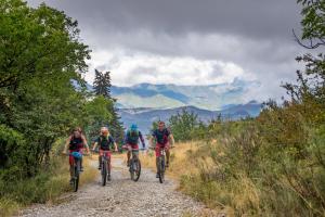 TRANSPROVENCE2020_190